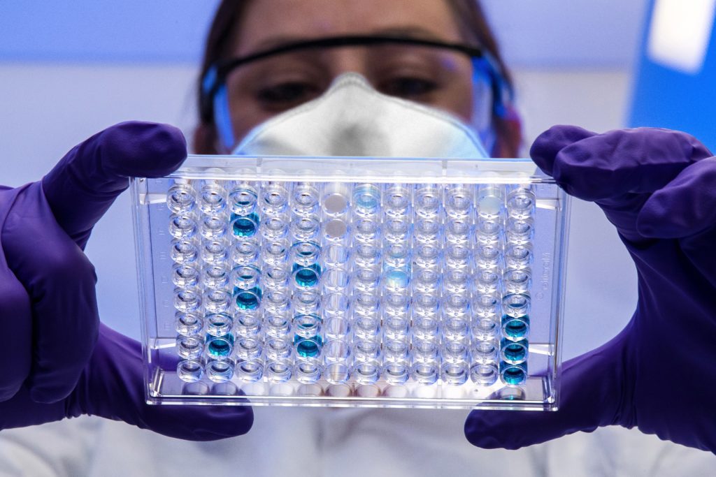 Female scientist reviewing a plate with test samples