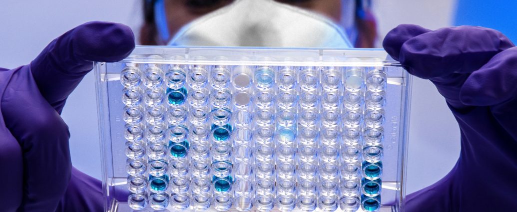 Female scientist reviewing a plate with test samples