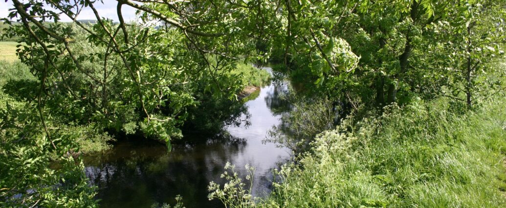 The River Wyre at one of its meanders, covered by trees.