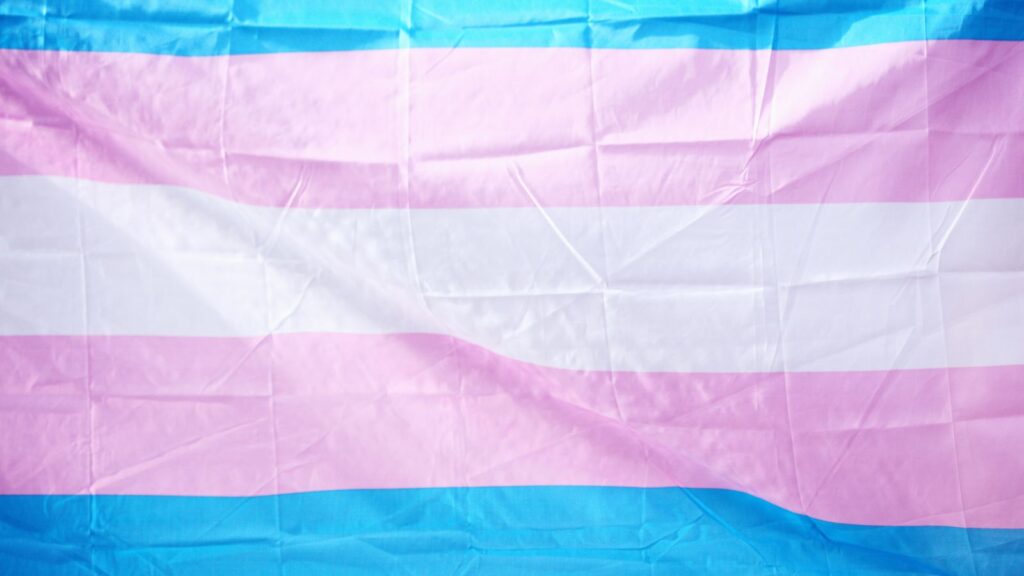 Trans flag