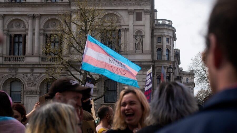 Person waving a transgender flag