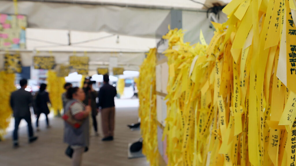 yellow ribbons in memorial of the sewol ferry