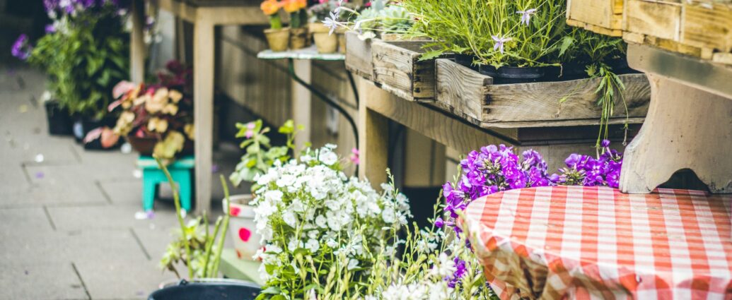 a flower garden with plant pots, a red gingham table cloth covering table and a watering can, representing the film It Ends With Us