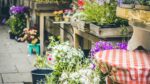 a flower garden with plant pots, a red gingham table cloth covering table and a watering can, representing the film It Ends With Us