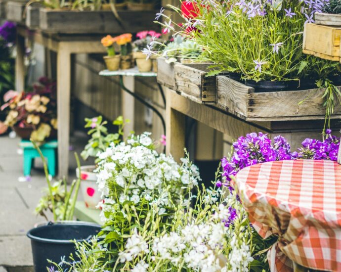 a flower garden with plant pots, a red gingham table cloth covering table and a watering can, representing the film It Ends With Us