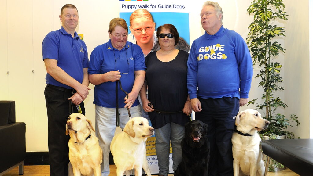 Guide Dogs with their owners at an event