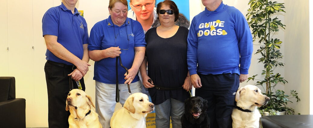 Guide Dogs with their owners at an event