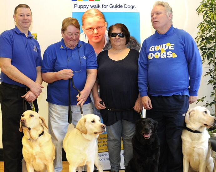 Guide Dogs with their owners at an event