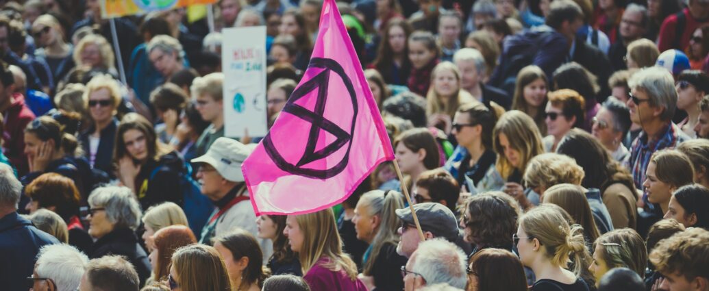 Crowds of protestors with signs