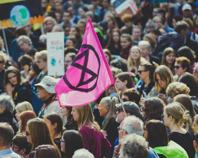 Crowds of protestors with signs