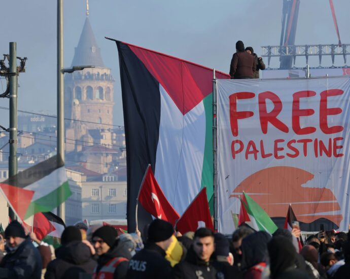 Photograph of a protest with a large Palestinian flag and free Palestine sign beside it